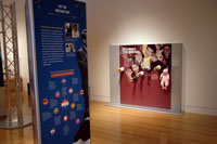 view of the exhibit